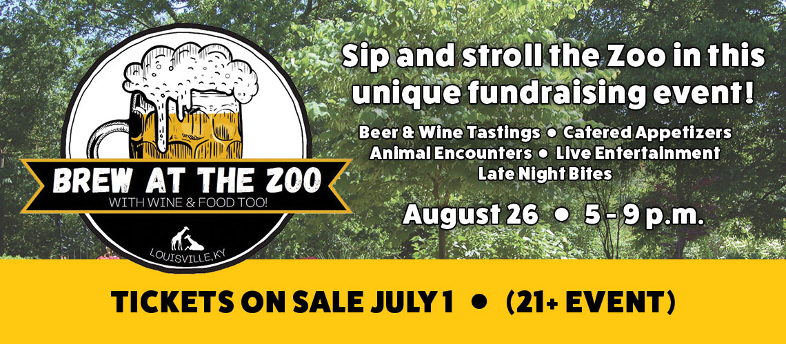 Brew at the Zoo header; Sip and stroll the Zoo in this unique fundraising event! Beer & wine tastings, catered appetizers, animal encounters, live entertainment and late night bites. August 26 from 5 p.m. to 9 p.m. Tickets on sale July 1 (21+ event)