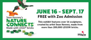 Nature Connects advertisement banner featuring nature connects logo with LEGO brick sculpture. June 16 - Sept. 17 and is FREE with Zoo admission. Exhibit features over 16 sculptures created by artist Sean Kenney, made from more than 200,000 LEGO bricks.