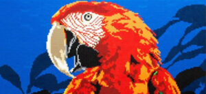 Sculpture of a red macaw on a blue background from the Nature Connects exhibit.