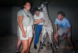 photo of Silvia and other keepers with new baby giraffe , born in 1997, for 2023 Zoo Keeper Week Spotlight on Silvia