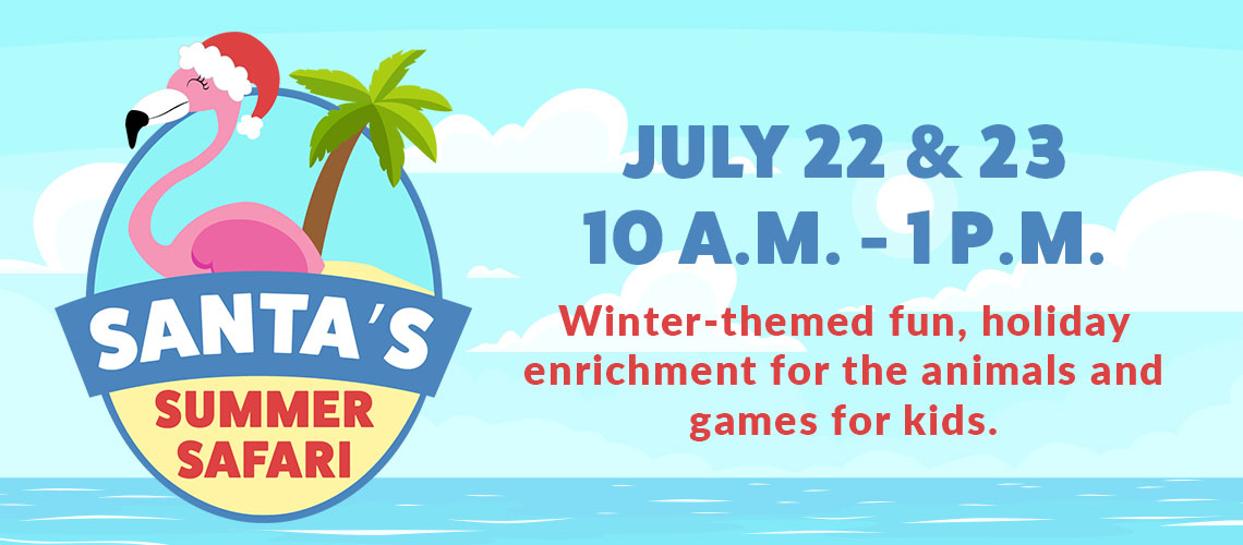 Banner - Santa's Summer Safari - July 22 & 23 from 10 a.m. to 1 p.m. Winter-themed fun, holiday enrichment for the animals and games for kids