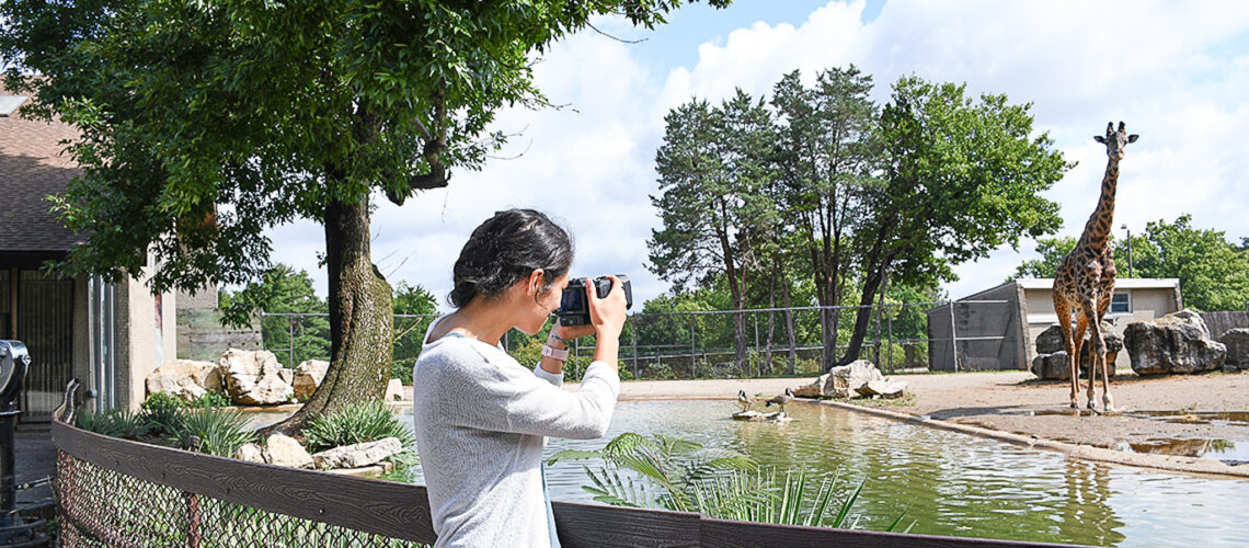 Header Image featuring young woman photographing a Masai giraffe