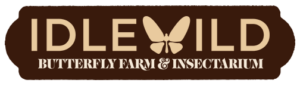 logo Idlewild, Butterfly Farm & Insectarium