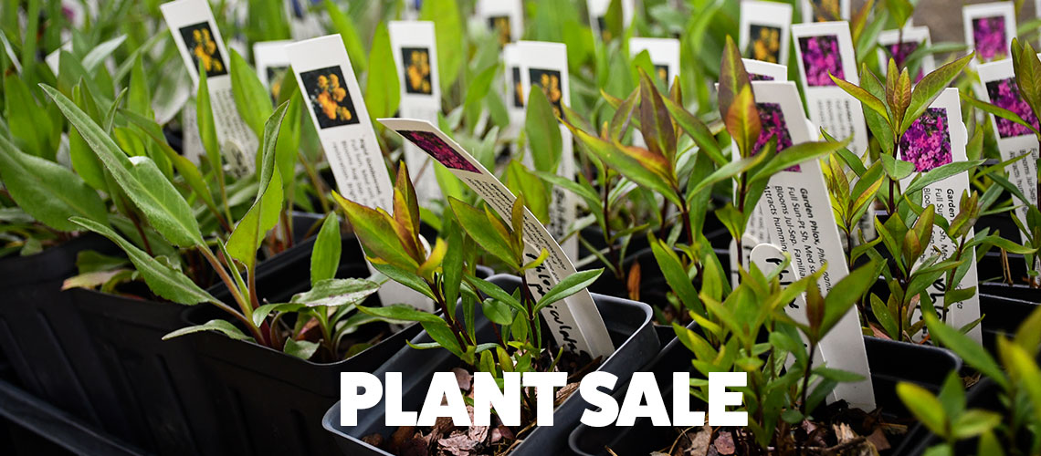 Header: Plant Sale