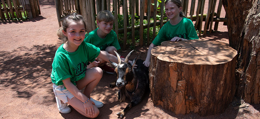 photo of kids petting goat, sitting by large cut tree trunk at single day camps