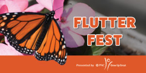 Flutter Fest presented by PNC, Grow Up Great, banner with orange/black butterfly
