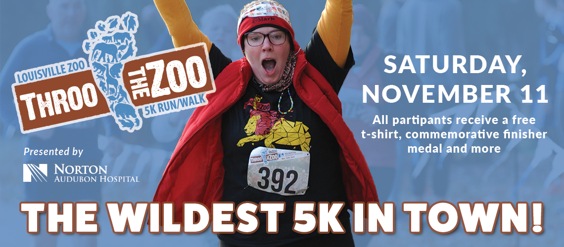 Banner for Louisville Zoo Throo the Zoo, 5K Run/Walk, Saturday, November 11, all partipants receive a free t-shirt, commemorative finisher medal and more,The Wildest 5K in Town, presented by Norton Audubon Hospital