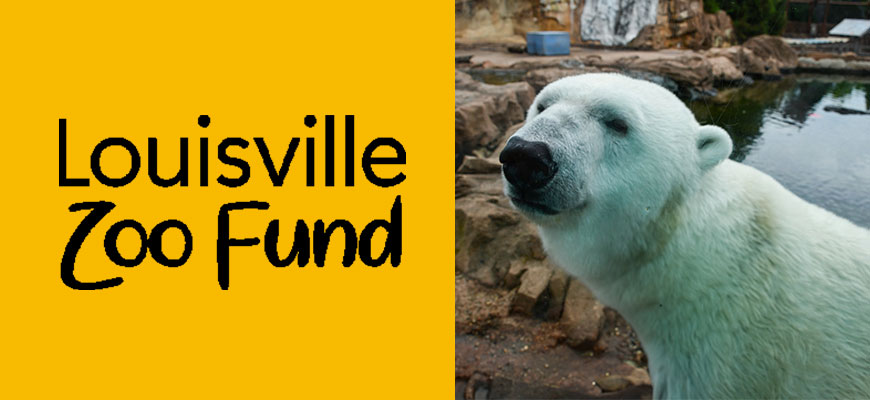 Louisville Zoo Fund banner with polar bear photo