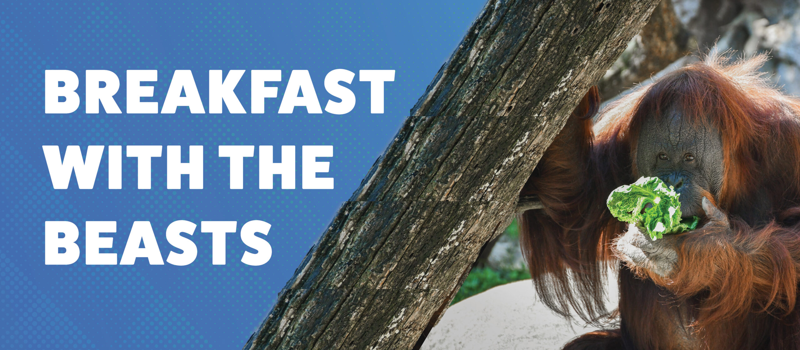 Breakfast with the Beasts Header