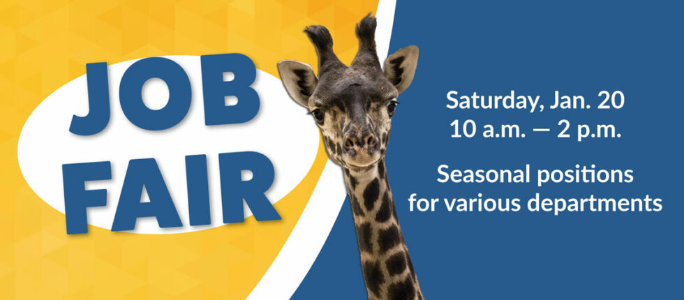 Job fair banner with photo of giraffe. Banner says, "Job Fair. Saturday, January 20 from 10 a.m. to 2 p.m. Seasonal positions for various departments."