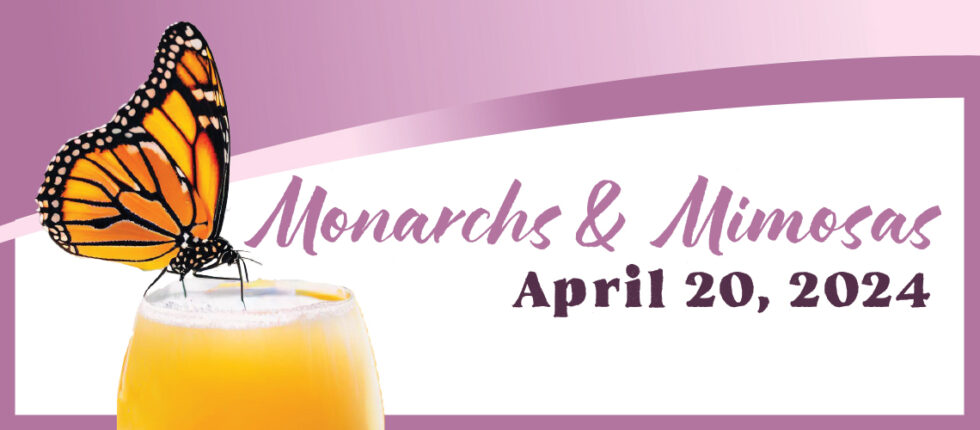 Monarchs & Mimosas Header: April 20, 2024