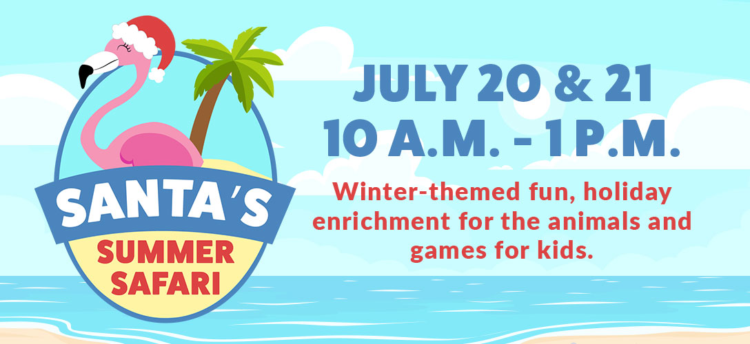 Santa's Summer Safari header with logo featuring a flamingo in a Santa hat. Has the dates of the event July 20 – July 21 from 10 a.m. to 1 p.m. and a description of the event that says: winter-themed fun, holiday enrichment for the animals and games for kids.