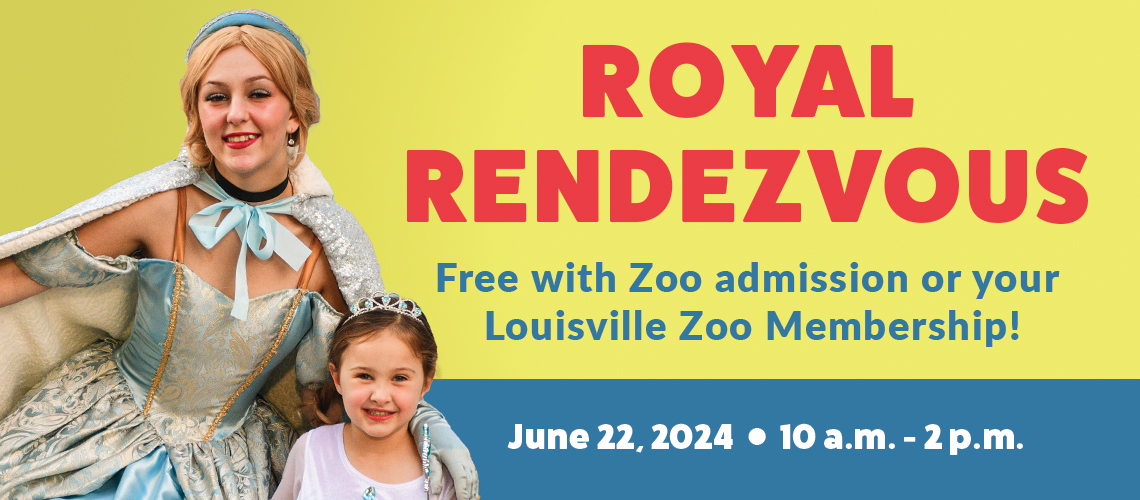 Yellow and blue header that has a photo of Cinderella and child. It says Royal Rendezvous with the dates.