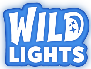 logo - big blue background with wild lights in big white lettering