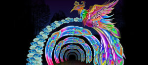 photo - phoenix tunnel, with variety of blue, pink ,orange, green colored rings, with one all blue flower, with multi colored, and detailed phoenix, wings are very detailed in shape and colors, with very long tail feathers, sitting on top of tunnel