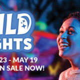 banner - blurred multi color lights background, wild lights, march 23 - may 19, tickets on sale now, r/side female, laughing, face tinted red, blue from nite time lights