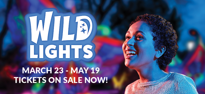 banner - blurred multi color lights background, wild lights, march 23 - may 19, tickets on sale now, r/side female, laughing, face tinted red, blue from nite time lights