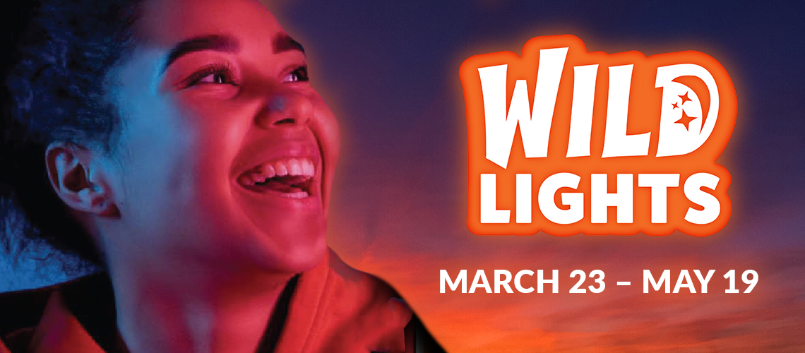 banner - young adult looking up at lights, big laughing smile, wild lights, march 23 - may 19, background is orange, red, blue mellow meshed colors