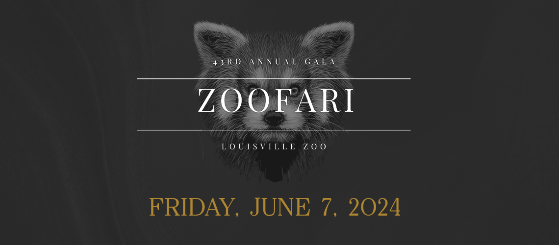 graphic - background all black, 43 annual gala, zoofari, louisville zoo, Friday, June 7, 2024
