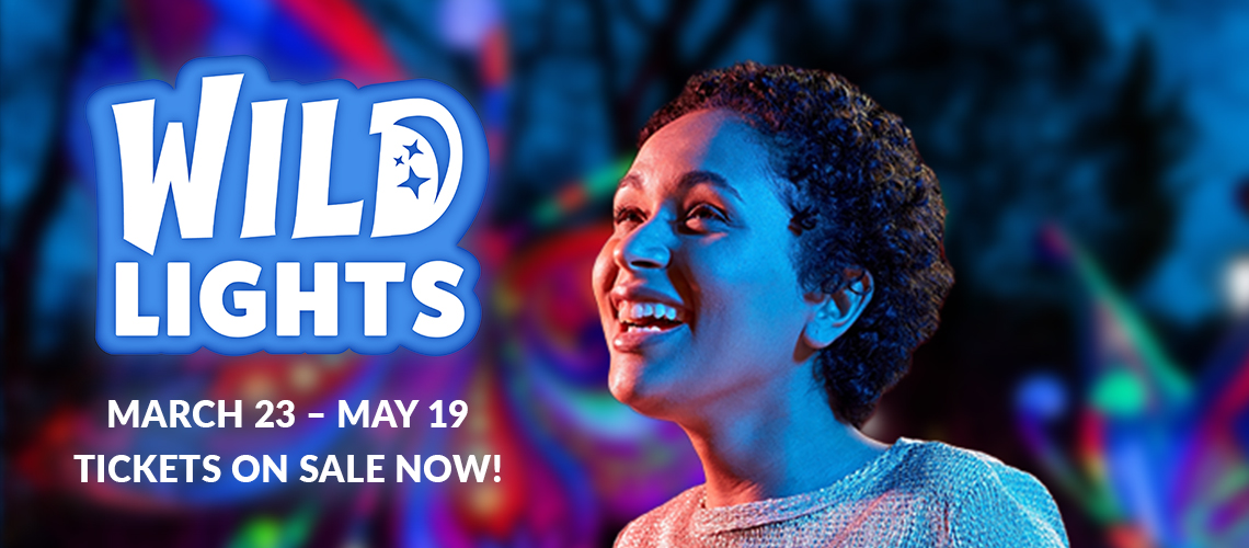banner - blurred multi color lights background, wild lights, march 23 - may 19, tickets on sale now! r/side female laughing, face tinted red, blue from colored lights