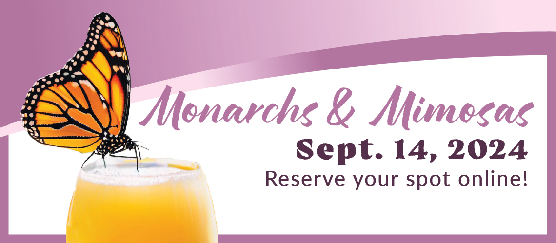 banner - monarchs & mimosas, sept. 14, 2024, reserve your spot online! l/side is orange, black, white monarch butterfly, sipping from a mimosas drink, background color is purple and white