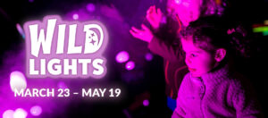 banner - background is blk, purple, bubbles, with image of small children, who are purplish/pink in color, as they are looking at bubbles, wild lights, march 23 - may 19