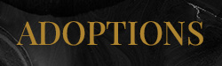 Black background with the word ADOPTIONS in gold.