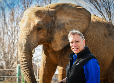 Photo of Zoo Director Dan Maloney and African elephant Mikki