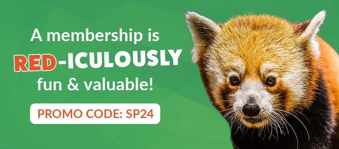 Green banner featuring Sundara the red panda. It says "a membership is RED-icuously fun and valuable!" It also has a white box with the discount code SP24 in it.