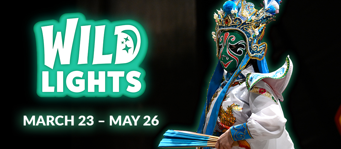 wild lights banner - blk background, with face changer character, white costume with colorful ornamental designs, fancy decorated blue headdress with ornamental gold designs and streamers hanging, holding a blue/tan fan; wild lights, march 23 - may 26