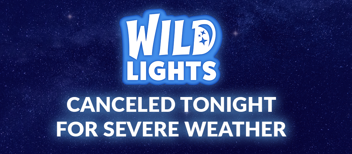 Wild Lights is cancelled tonight for severe weather