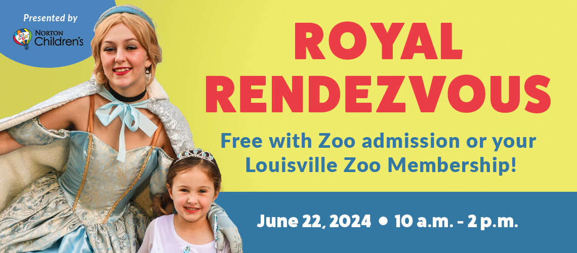 Yellow and blue header that has a photo of Cinderella and child. It says Royal Rendezvous with the dates.