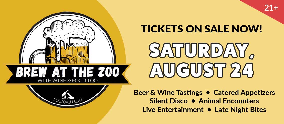 Brew at the Zoo with Wine and Food Too! Banner. 21+ Tickets on Sale Now! Saturday, August 24, 2024 Beer & Wine Tastings, Catered Appetizers, Silent Disco, Animal Encounters, Live Entertainment and Late Night Bites